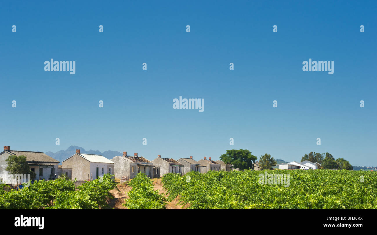 Bauernhöfe in Boland Region, Südafrika Stockfoto