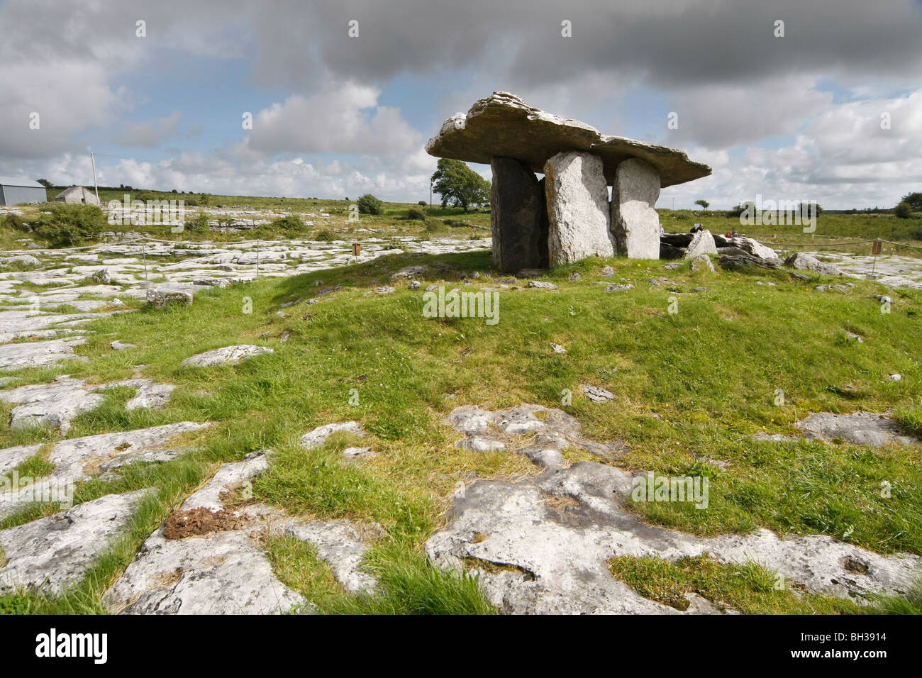 Die Poulnabrone Portal Dolmen auf dem Burren, County Clare, Eire. Stockfoto