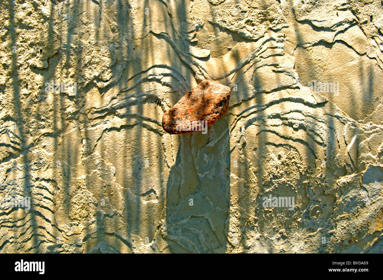 Natürliches Licht und Schatten unterstreichen die Konturen der Winderosion und die Samenkapseln und Kieselsteine auf der Natur Oberfläche gelegt. Stockfoto