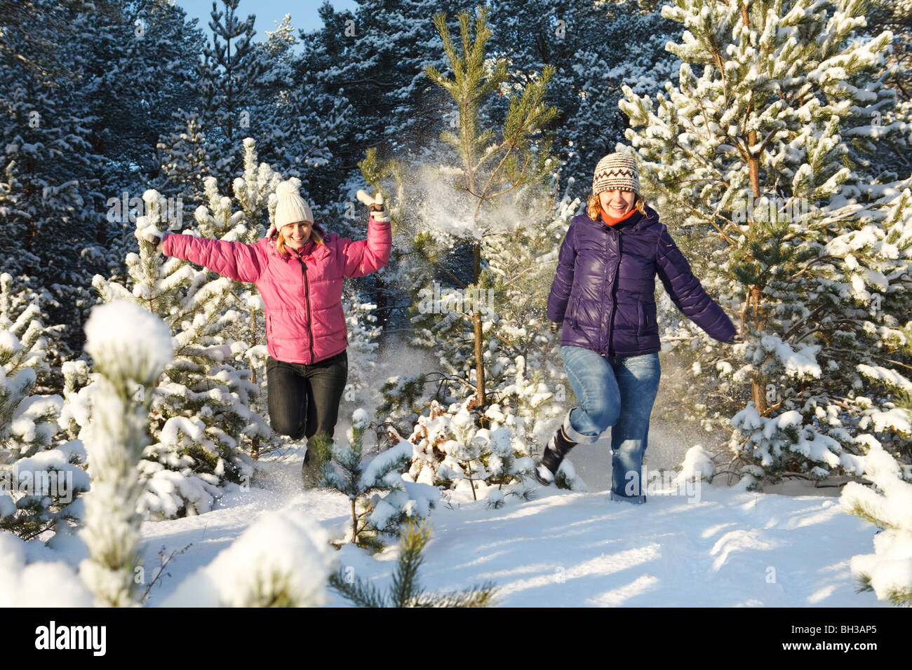 Mit Schnee bedeckter Besen auf einer … – Bild kaufen – 11226058