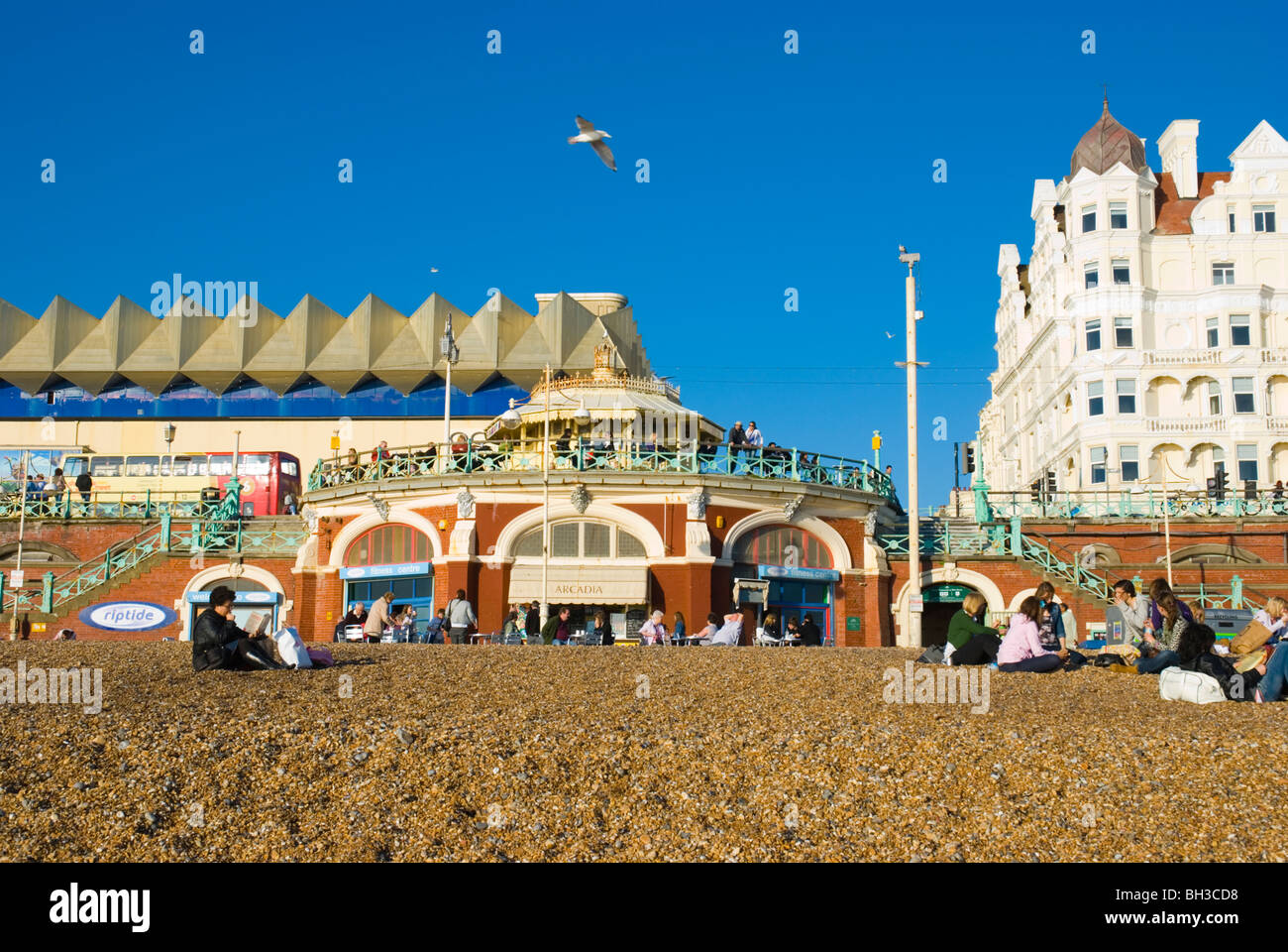 Direkt am Meer Brighton England UK Europa Stockfoto