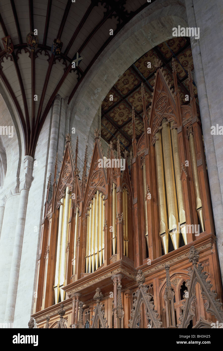 Winchester Cathedral die Orgel in der Chor gestaltet 1825 von Edward Blore, mit Teilen der Heny Willis organ Stockfoto