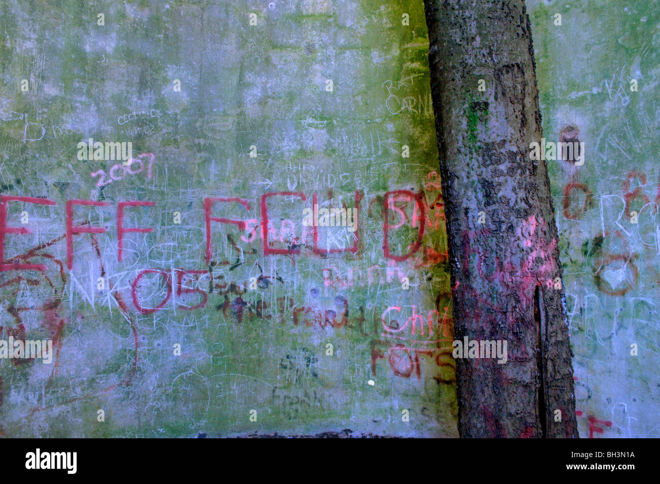 Eine alte verlassene, Getreidesilo ist das Ziel von Teen Graffiti aber ist von der Natur zurückgefordert werden, wie ein Baum für den Himmel erreicht Stockfoto