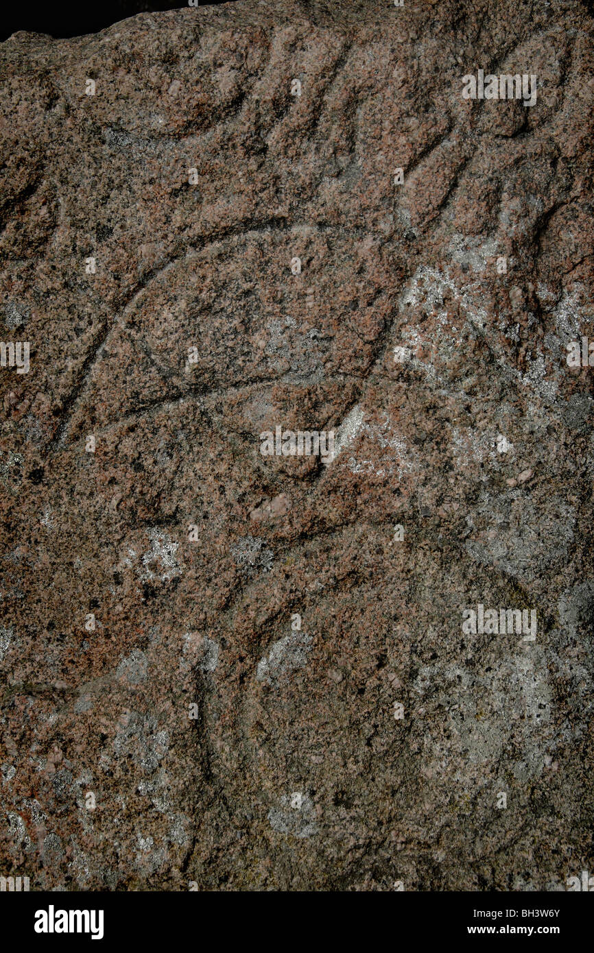 Pictish Symbole auf Ssone in Rhynie Kirk geschnitzt. Stockfoto