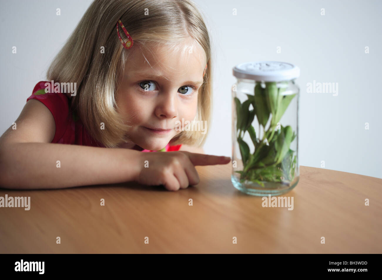Junges Mädchen zeigt auf ein Glas, gefüllt mit Blättern und Insekten, Lächeln Stockfoto