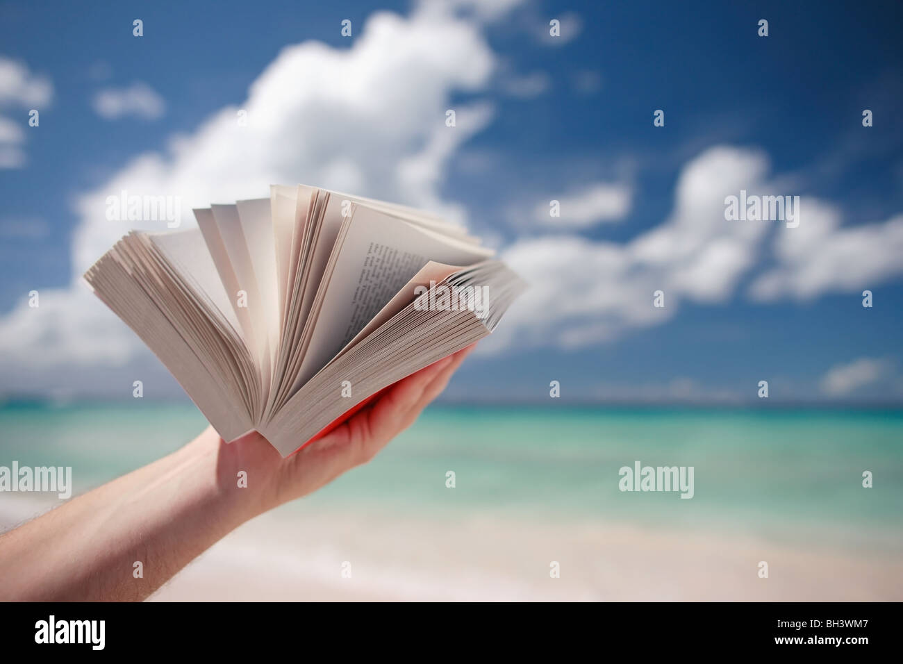 Nahaufnahme eines Mannes Hand hält ein offenes Taschenbuch Buch an einem tropischen Strand Stockfoto