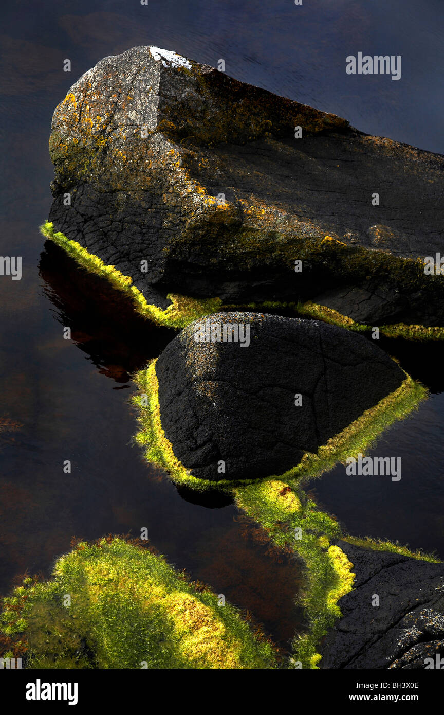 Natürliche Muster des Rock und Algen auf Skye. Stockfoto