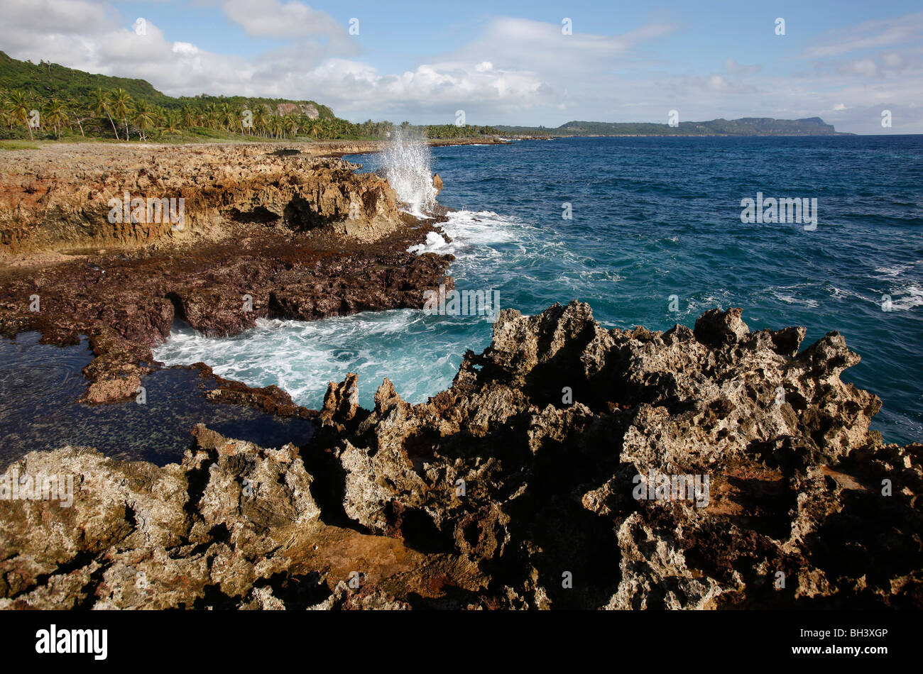 Malerische Südküste von versteinerten Korallen, Halbinsel Samana, Dominikanische Republik Stockfoto