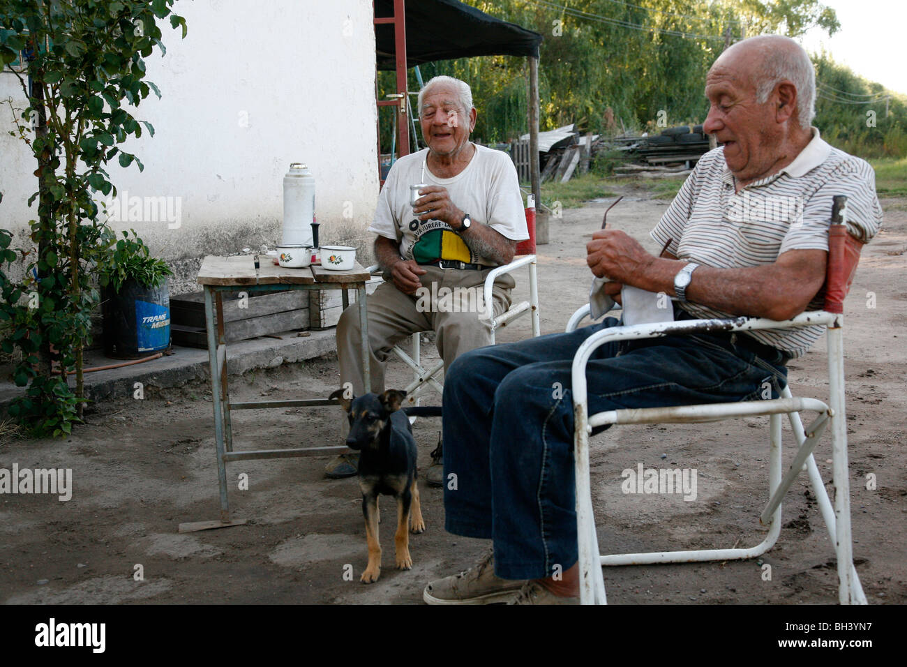 Portrait von einem senior Männer trinken Mate in Valle de Uco, Mendoza Region, Argentinien. Stockfoto