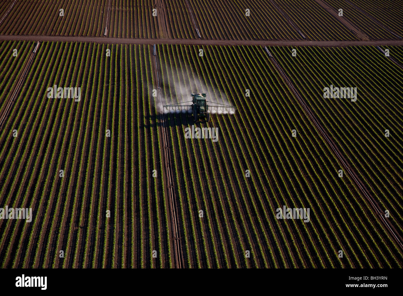 Anwenden von Flüssigdünger auf Pflanzen, Südflorida Landwirtschaft Stockfoto