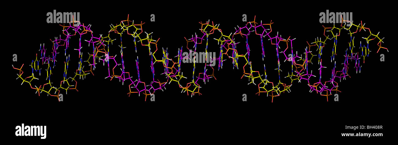 Desoxyribonukleinsäure - DNA Stockfoto