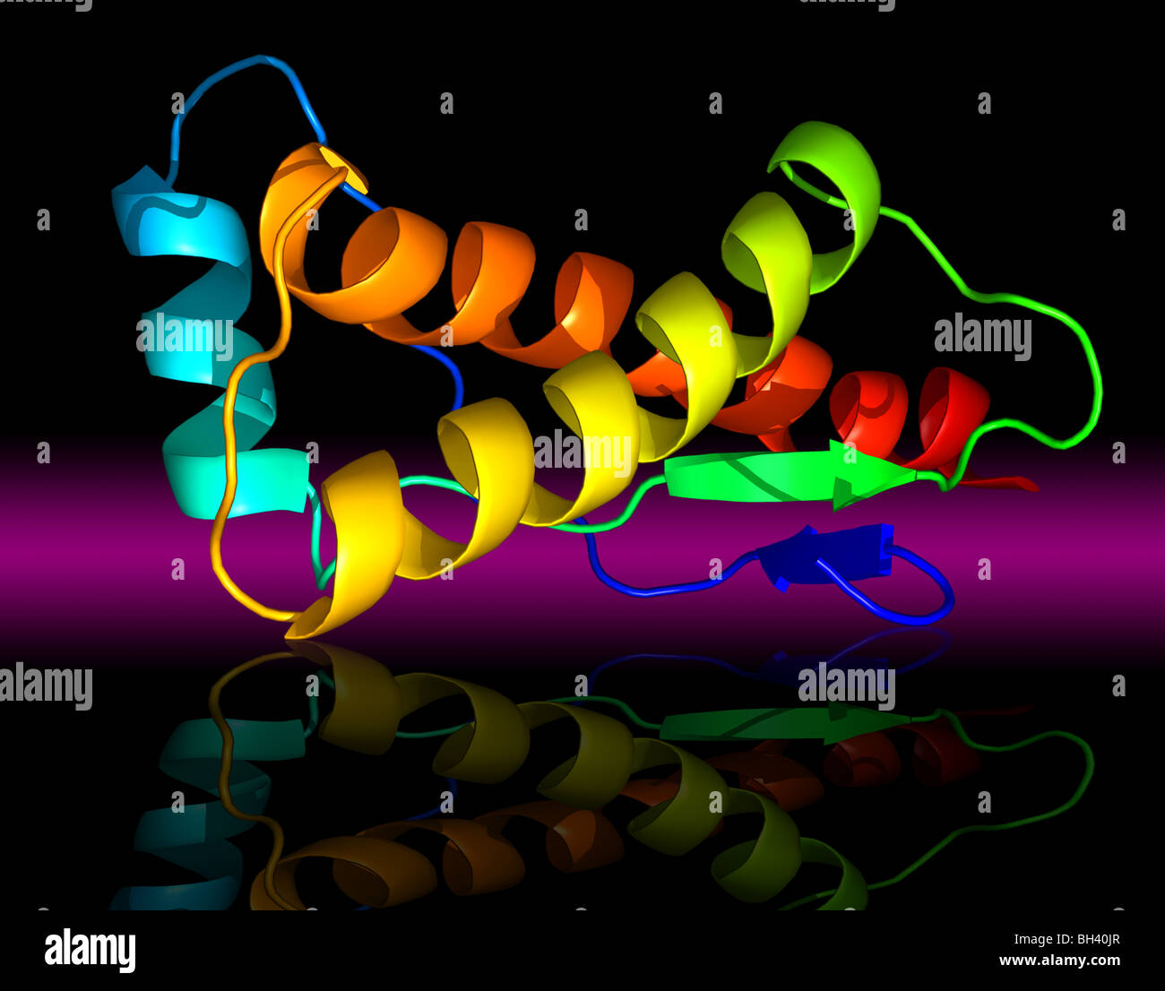 Grafische Darstellung eines menschlichen Prion-Protein-Fragments Stockfoto