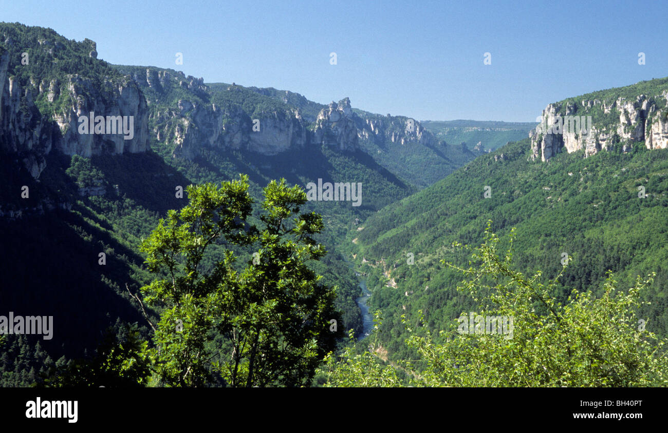 Gorges du Tarn, Cevennen, Frankreich. Die Kalkfelsen des Gebietes sind sichtbar in der Landschaft Stockfoto