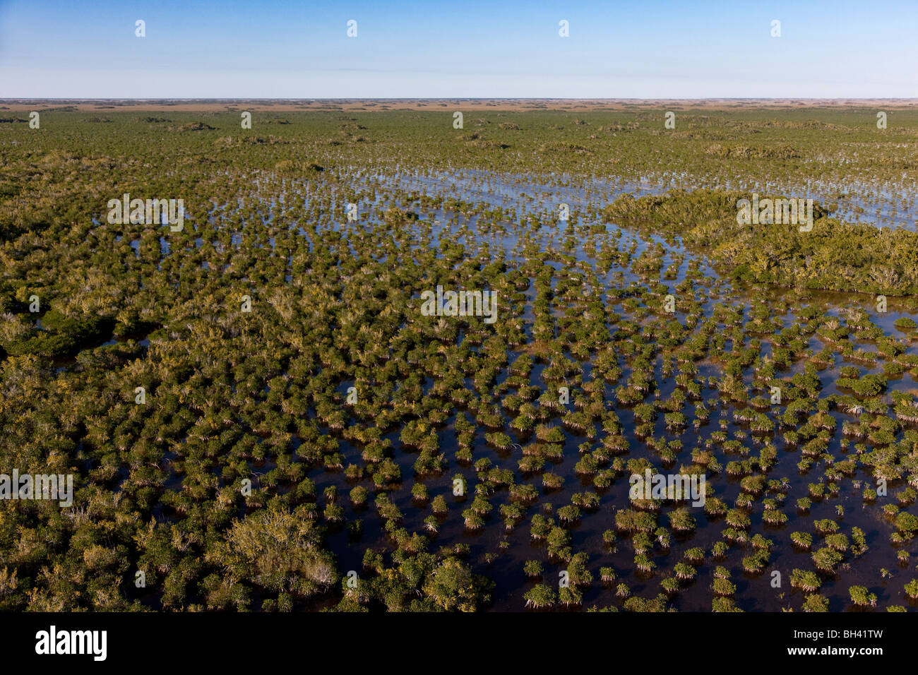Everglades Nationalpark ist ein Nationalpark in Florida.  Es ist die größte subtropische Wildnis in den Vereinigten Staaten. Stockfoto