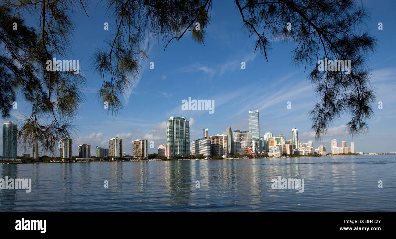 Die Skyline von Miami, Miami, Florida Stockfoto