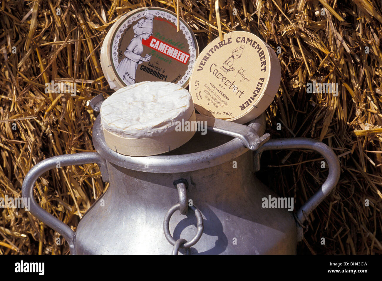 DER WAHRE CAMEMBERT GEMACHT MIT DURAND NICHT PASTEURISIERTE MILCH, CAMEMBERT, ORNE (61), NORMANDIE, FRANKREICH Stockfoto