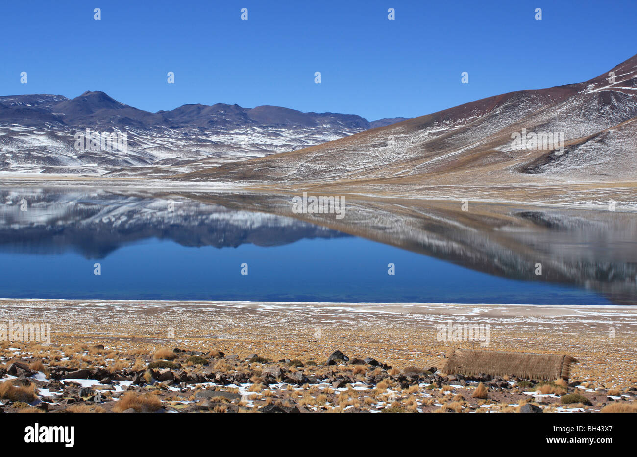 Laguna Miscanti Chile Stockfoto