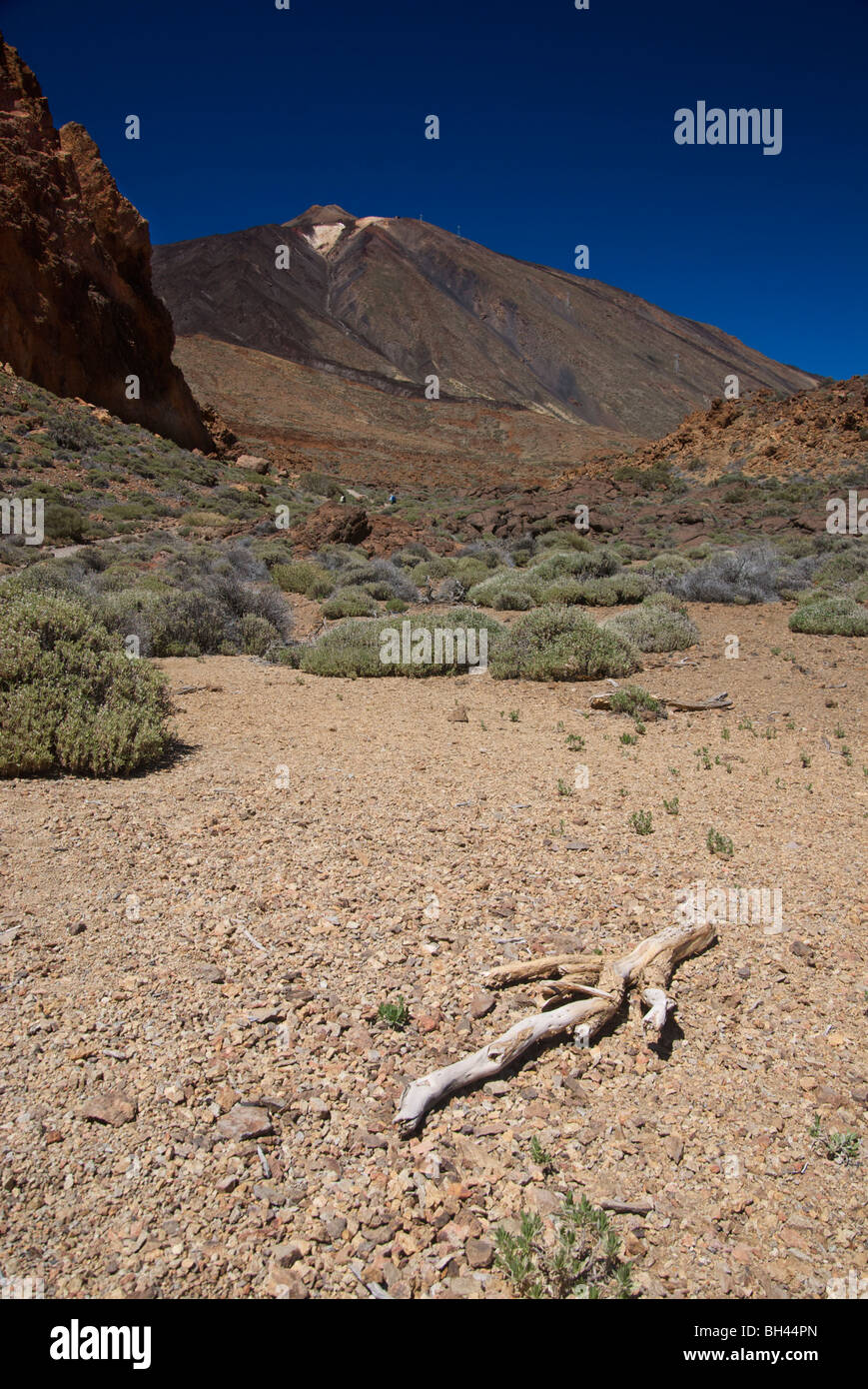 Steilen Hang des Vulkans Mount Teide Nationalpark Las Cañadas del Teide, in der Nähe von Los Roques de Garcia, mit Vegetation und Kies. Stockfoto