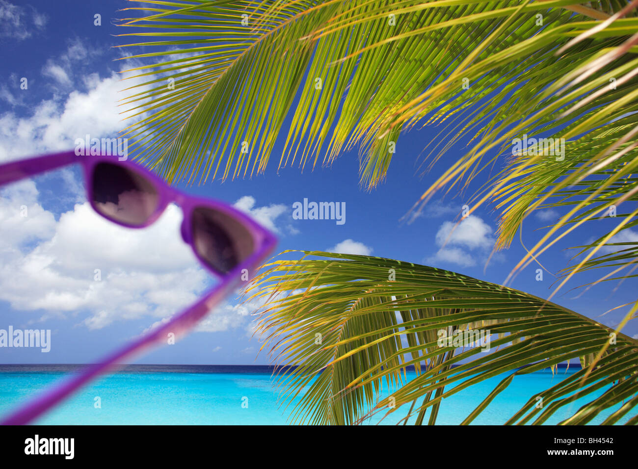 Lila Sonnenbrille gegen einen tropischen Strand-Szene Stockfoto
