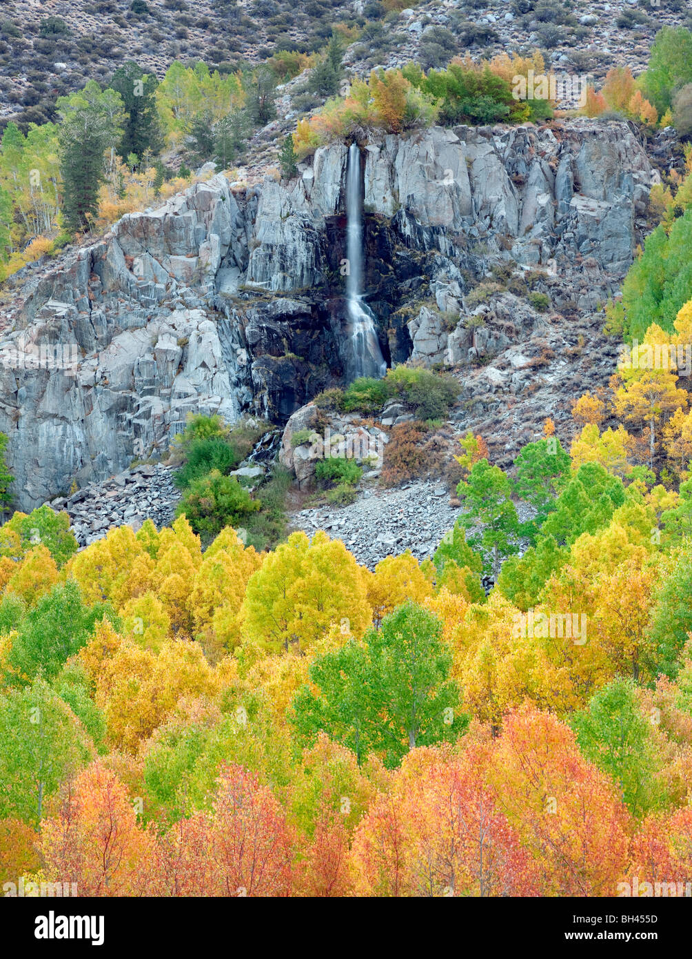 Espen farbige kleine saisonale Wasserfall und Herbst. Bischof-Canyon. California Stockfoto