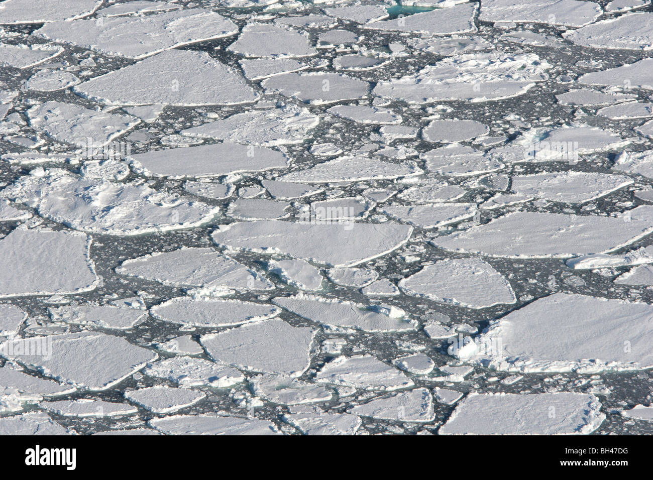 Eisberge im südlichen Ozean vor der Küste der Antarktis. Stockfoto