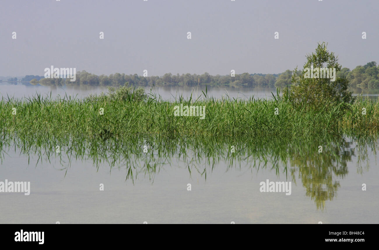 Zeigen Sie am Lac d ' Orient, die seine Vegetation widerspiegelt an. Stockfoto
