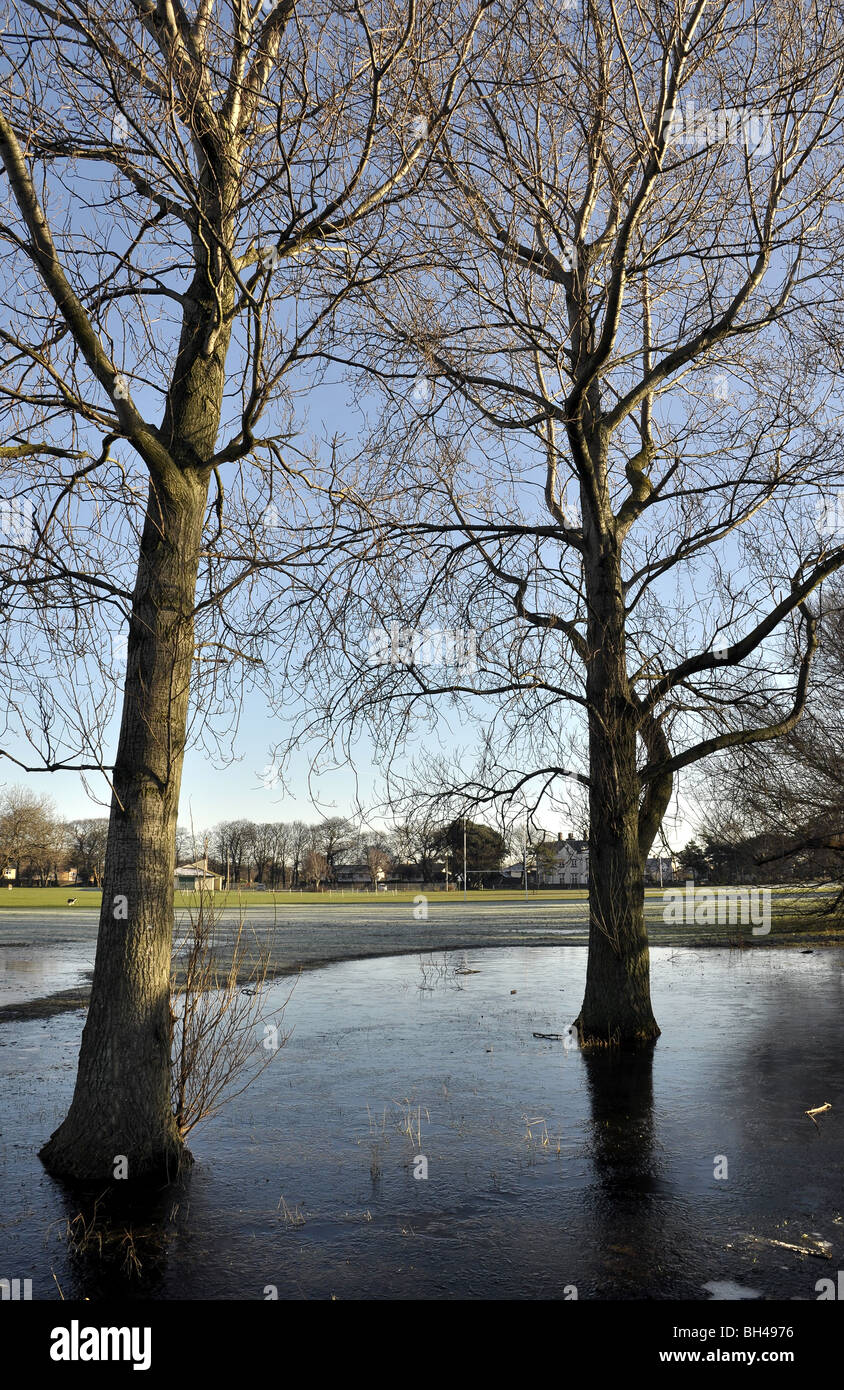 Abergele Parkbäumen in gefrorenem Wasser Stockfoto