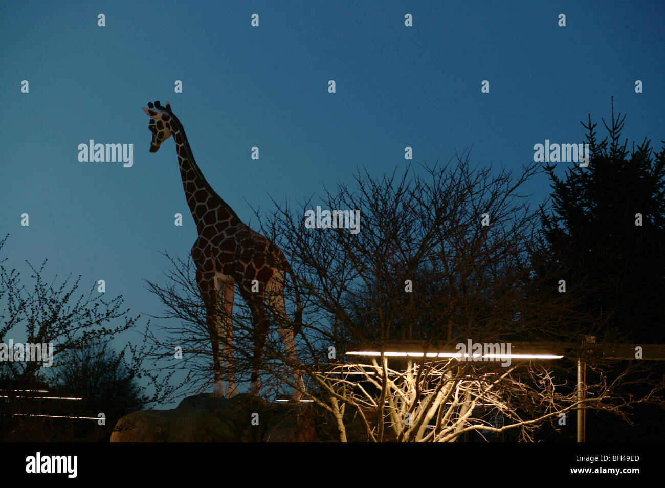 Eine gefälschte Giraffe schürt den Kopf über eine Minigolfanlage in der Abenddämmerung in Bloomington, Indiana. Suburbia Simulacra Nacht s Stockfoto