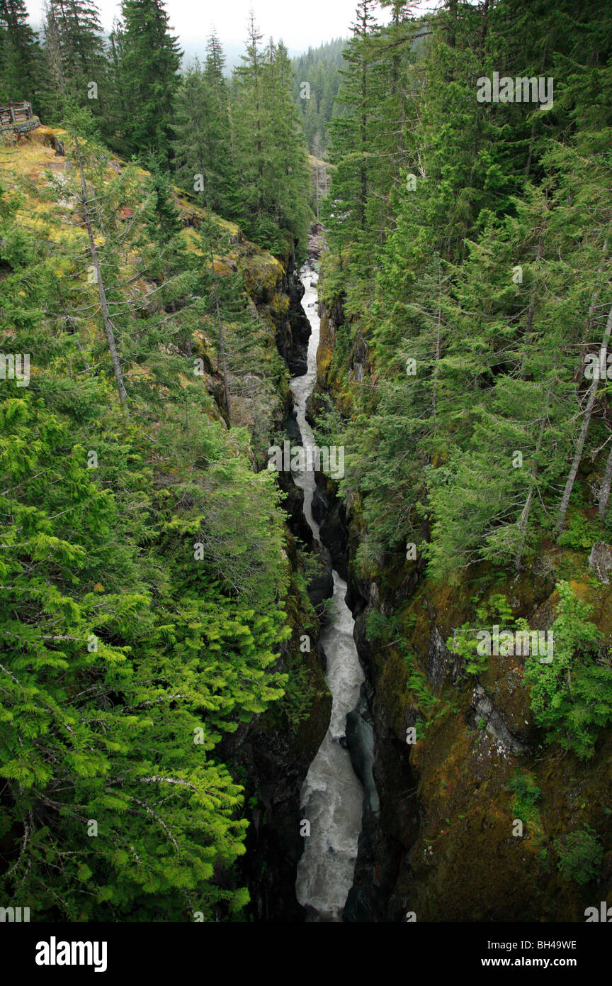 Box Canyon, gespeist von Schmelzwasser aus den Cowlitz Gletscher, Mt Rainier-Nationalpark, Washington State Stockfoto
