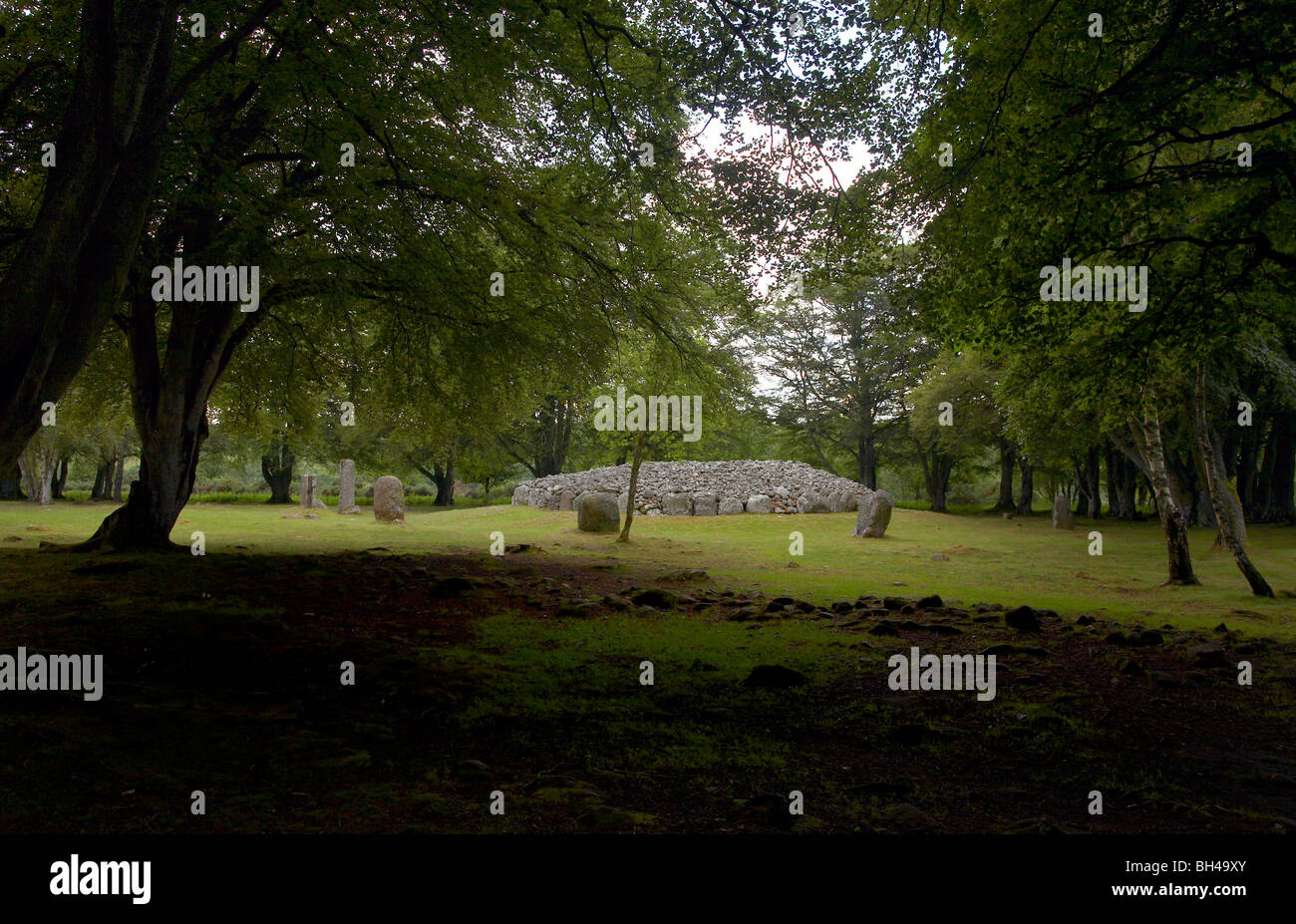 Wald um Schloten Cairns. Stockfoto
