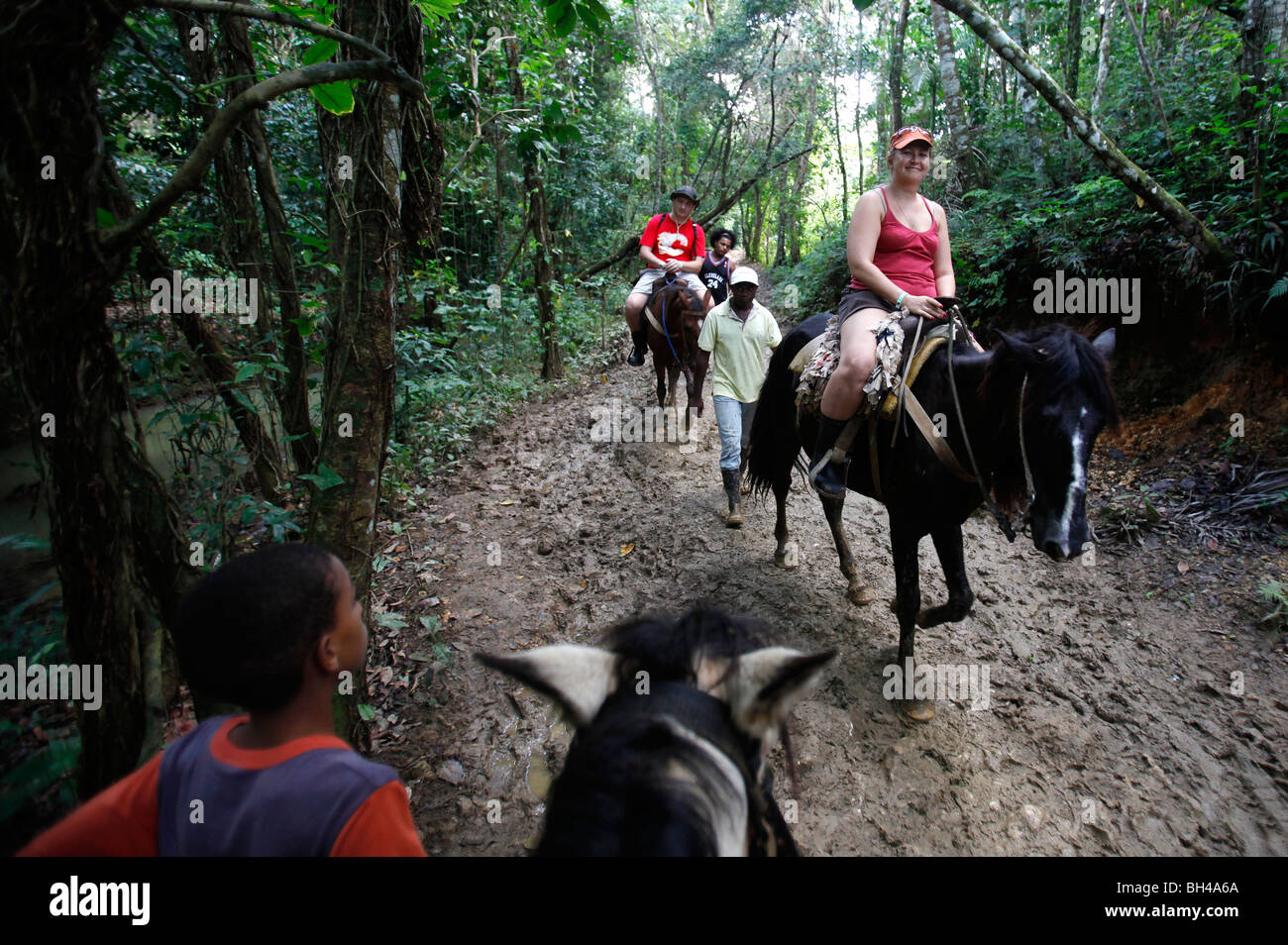 Geführten Pferd Ausflüge zum Wasserfall von El Limon, Halbinsel Samana, Dominikanische Republik Stockfoto