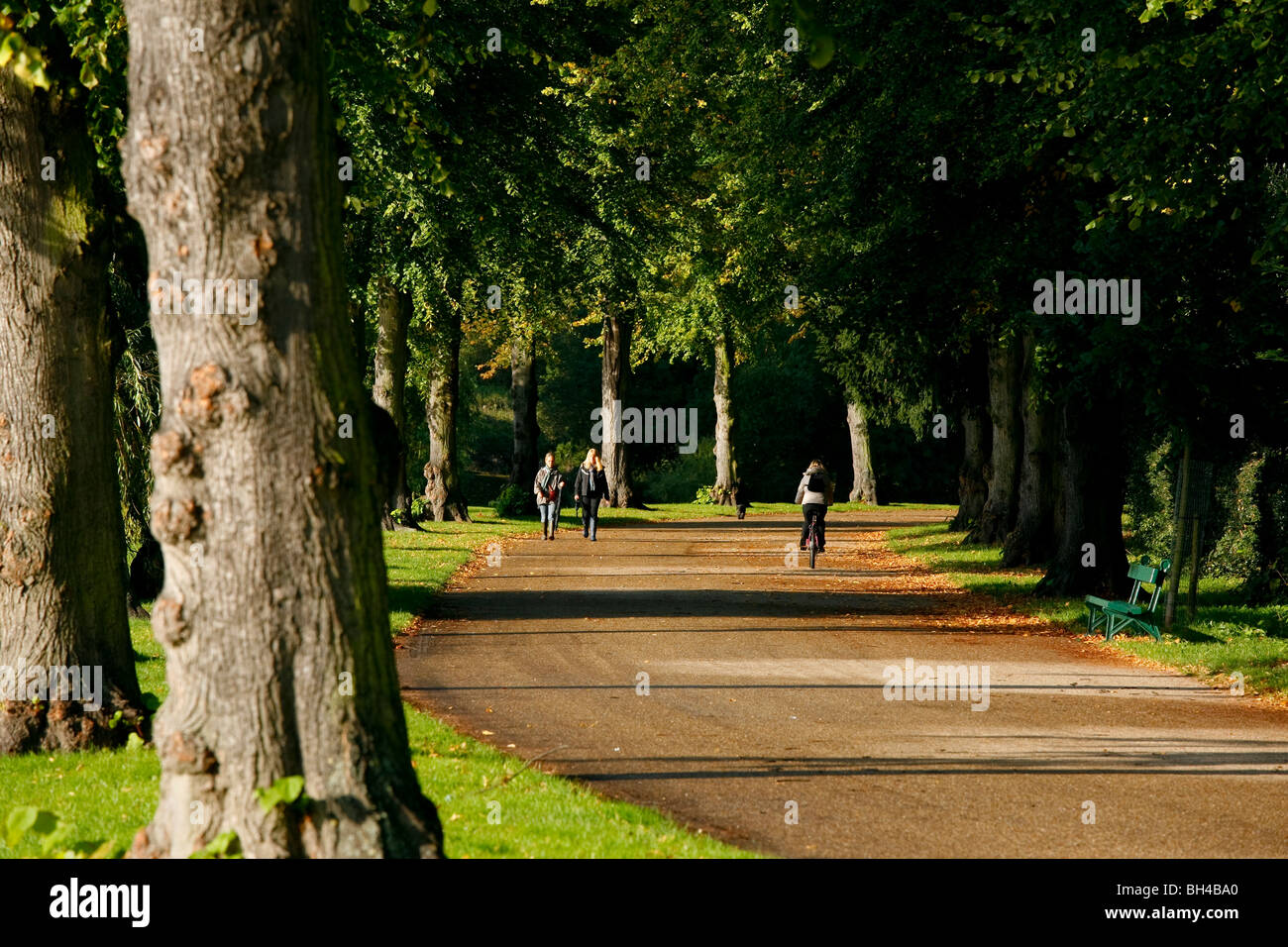 Wanderweg entlang des Flusses Severn in Shrewsbury, Shropshire. Stockfoto