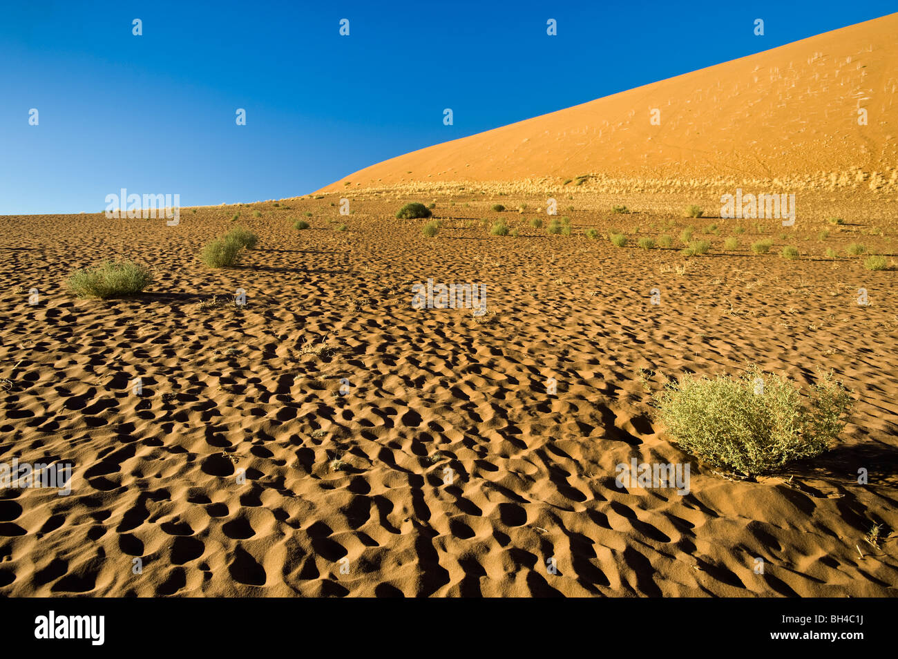 NAMIBIA-Namib-Wüste Deadvlei SOSSUSVLEI Dünen Sand Licht am frühen Morgen Ambiente Atmoshere Stimmung Dünen gelb rot orange sand Stockfoto