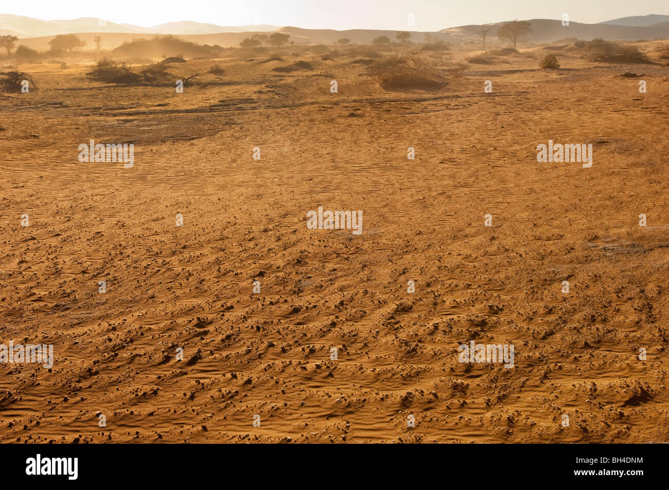 NAMIBIA-Namib-Wüste Deadvlei SOSSUSVLEI Dünen Sand Licht am frühen Morgen Ambiente Atmoshere Stimmung Dünen gelb rot orange sand Stockfoto