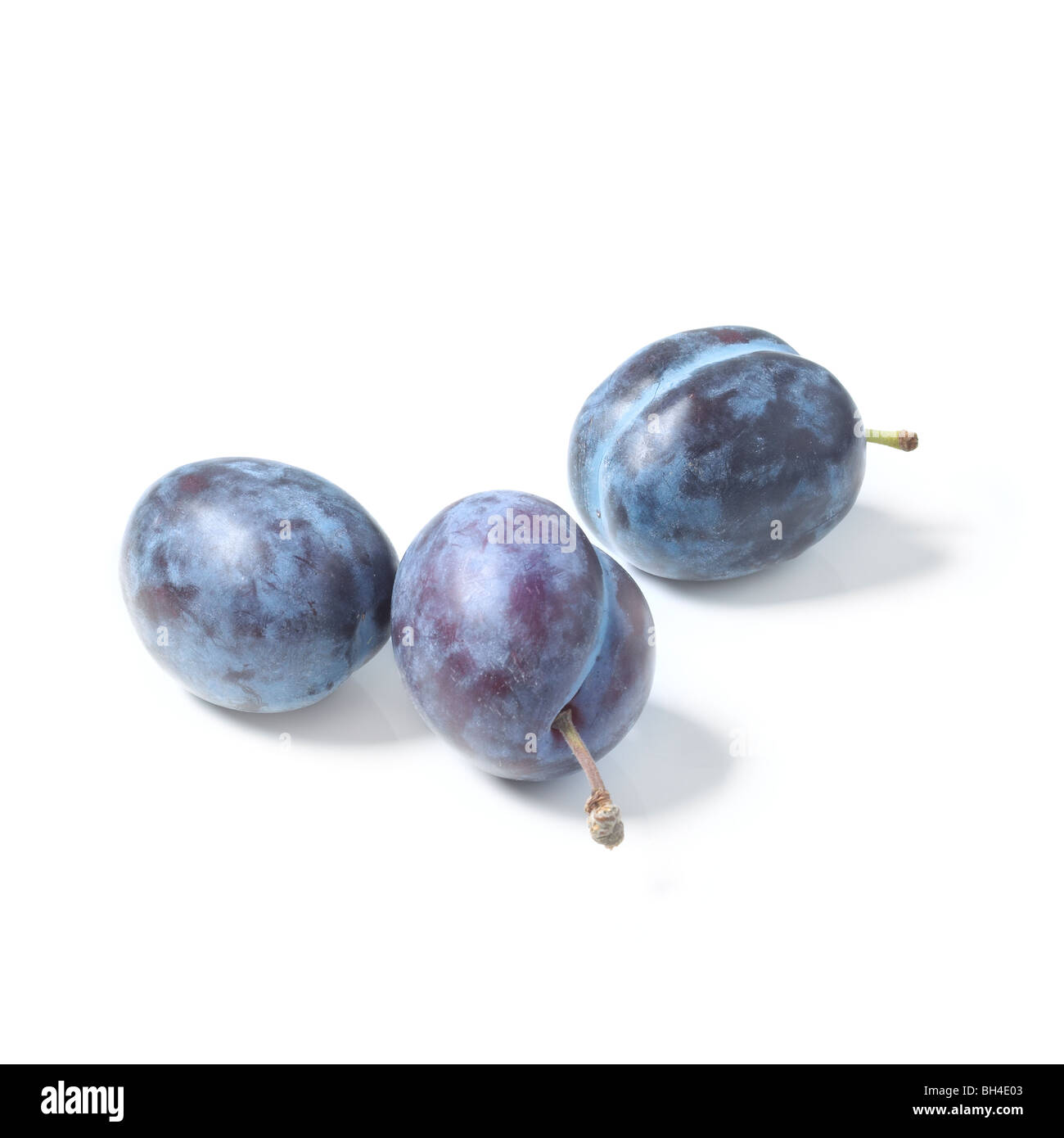 Pflaumen auf weißem Hintergrund Stockfoto