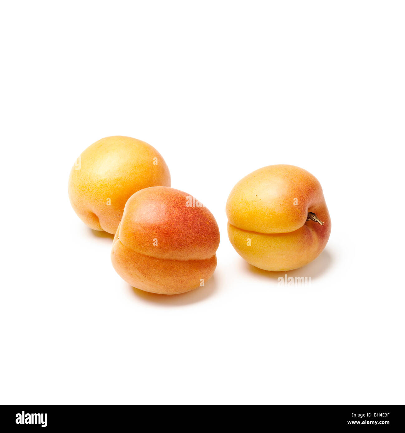 Aprikosen auf einem weißen Hintergrund Stockfoto