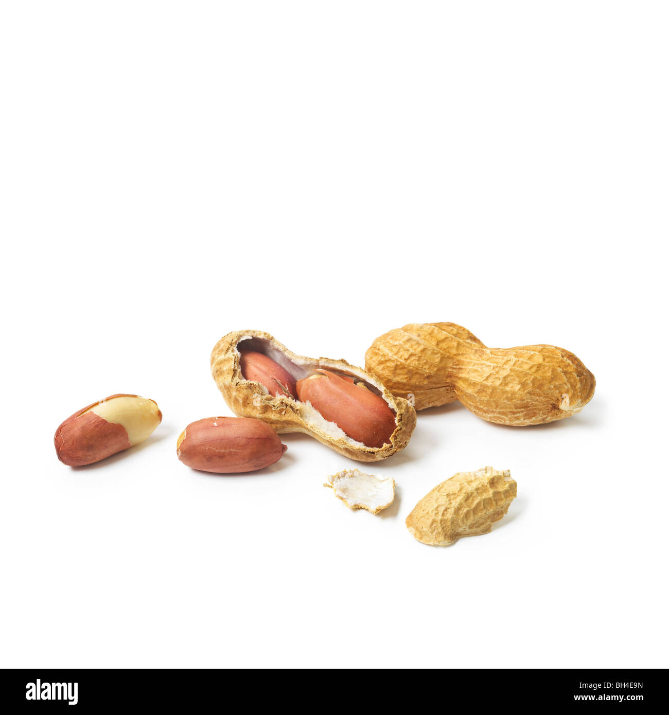 Erdnüsse und Muscheln auf weißem Hintergrund Stockfoto