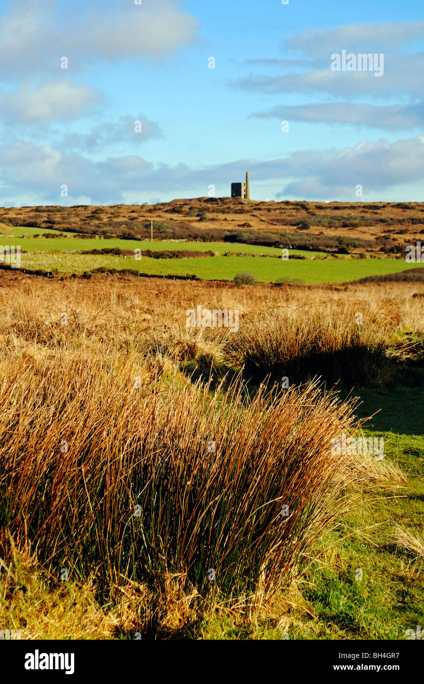 die wilden Moorland Penwith in West Cornwall, England, uk Stockfoto