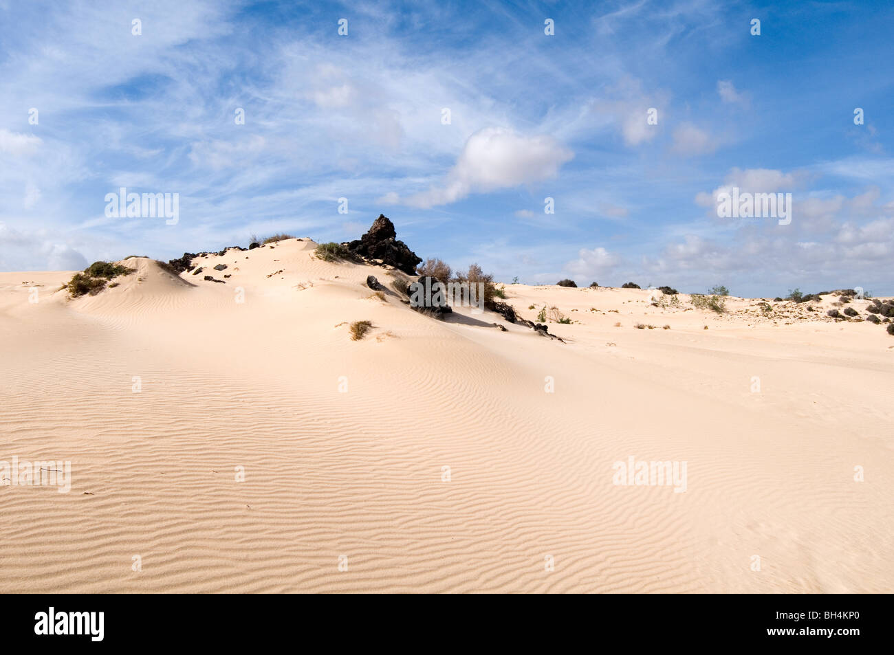 Düne Dünen du Désert Wüsten sandigen blauer Himmel Himmel geblasen Stockfoto