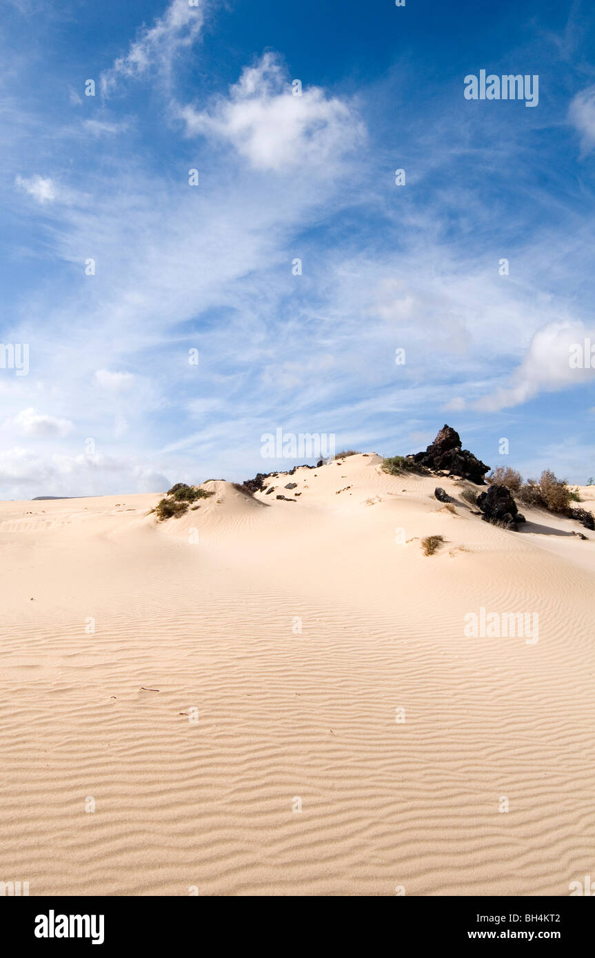 Düne Dünen du Désert Wüsten sandigen blauer Himmel Himmel geblasen Stockfoto