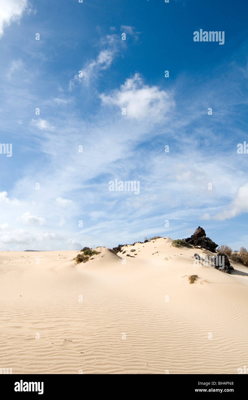 Düne Dünen du Désert Wüsten sandigen blauer Himmel Himmel geblasen Stockfoto