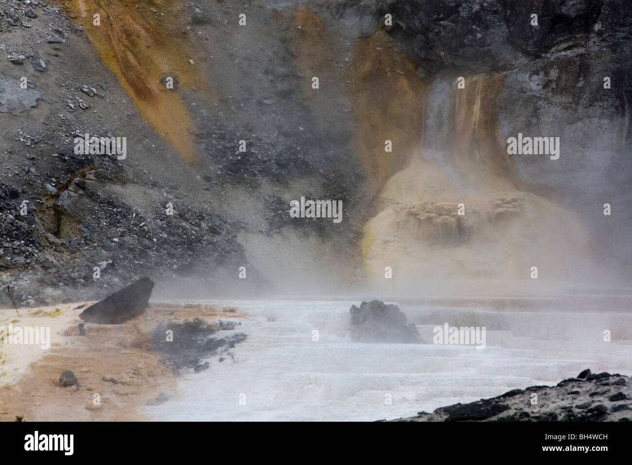 Travertin Terrassen, Mammoth Hot Springs, Yellowstone-Nationalpark Stockfoto