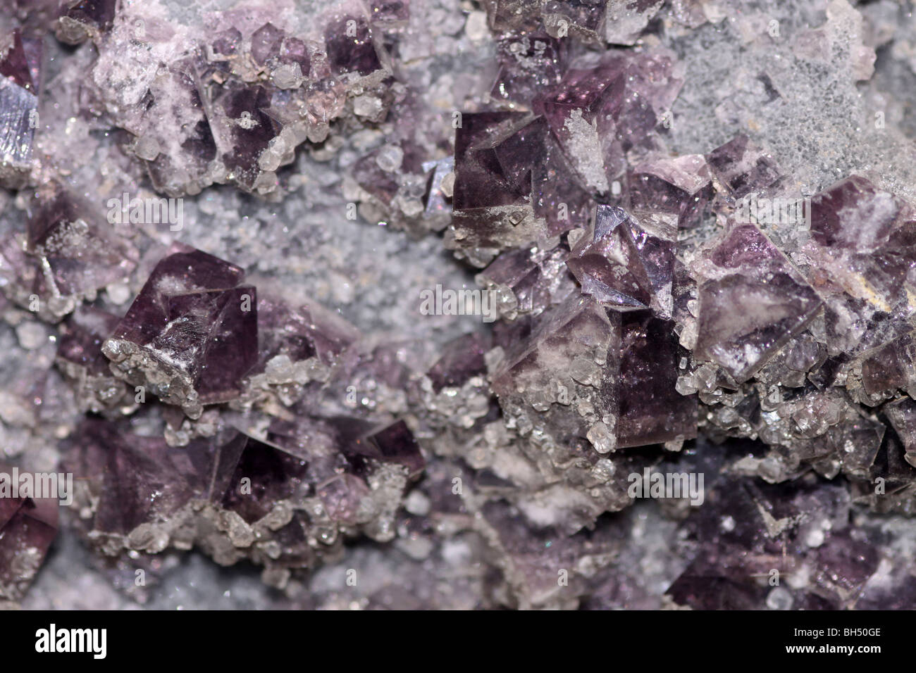 Fluorit Kristalle Rookhope, County Durham, Großbritannien Stockfoto