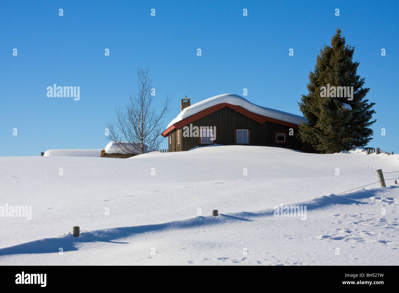 Ferienchalet mit Schnee und Koniferen Baum. Stockfoto