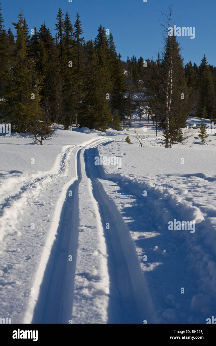 Eine präparierte Langlauf Ski-Route im Tiefschnee. Stockfoto