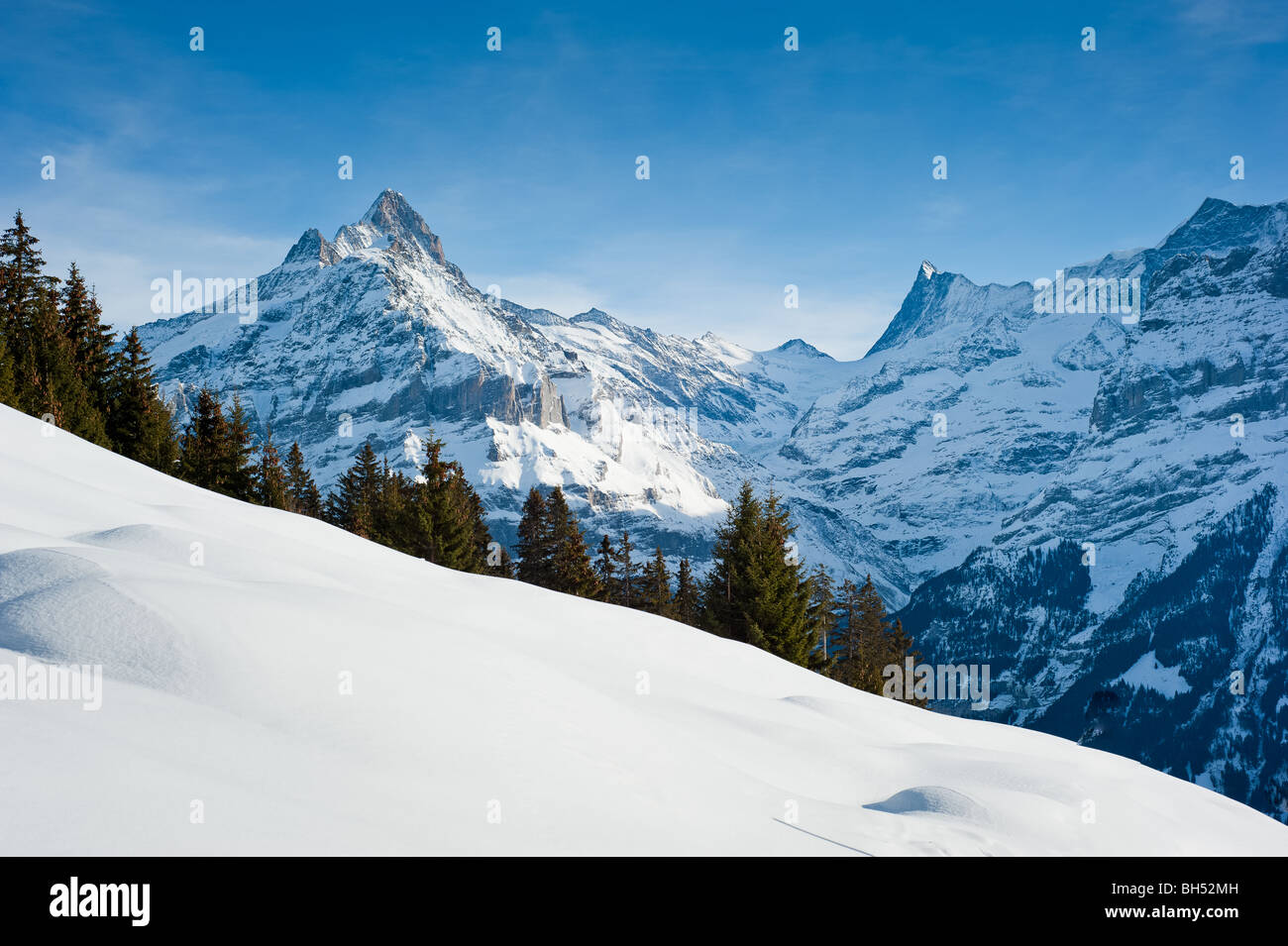 Grindelwald Schreckhorn Valley Stockfotos und -bilder Kaufen - Alamy