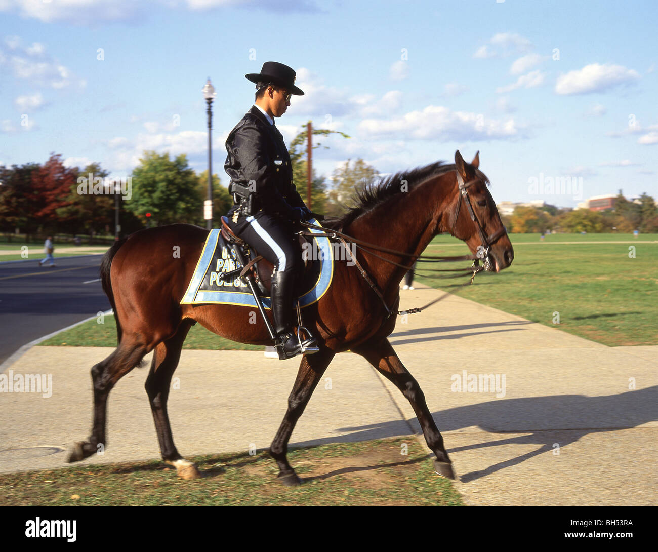 Polizist auf dem Pferderücken, Washington, Vereinigte Staaten von Amerika Stockfoto