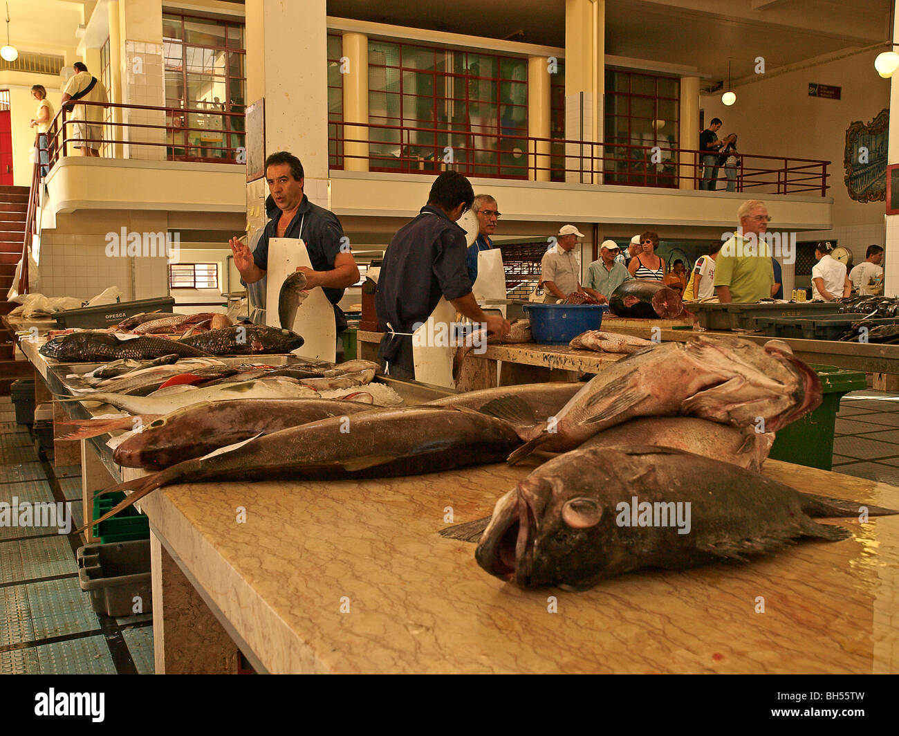 Fischmarkt Funchal Madeira Portugal Europa Stockfoto