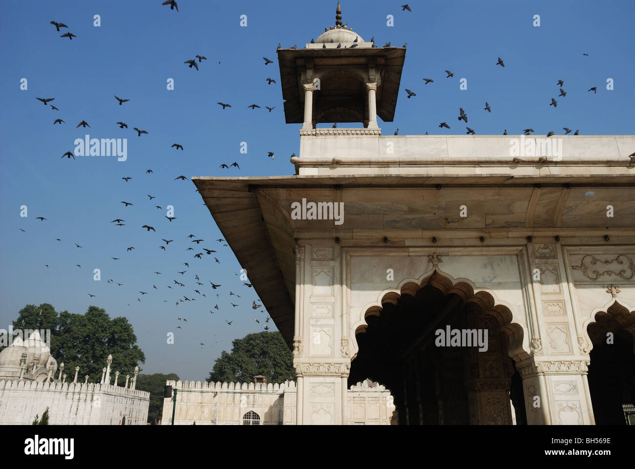 Vögel fliegen über eines der Marmorpalästen innerhalb des Roten Forts. Delhi, Indien. Stockfoto