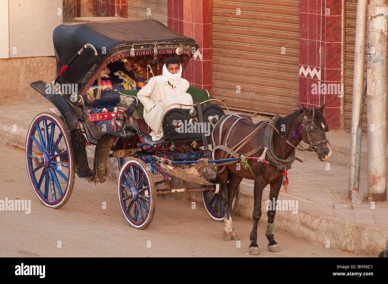 Pferd und Wagen Verkehr in Edfu, Ägypten, Afrika Stockfoto